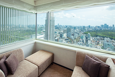 パノラミックツインルームからの眺望イメージ