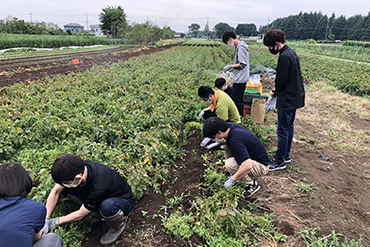 地産地消