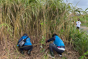 環境保全ボランティアへの参加